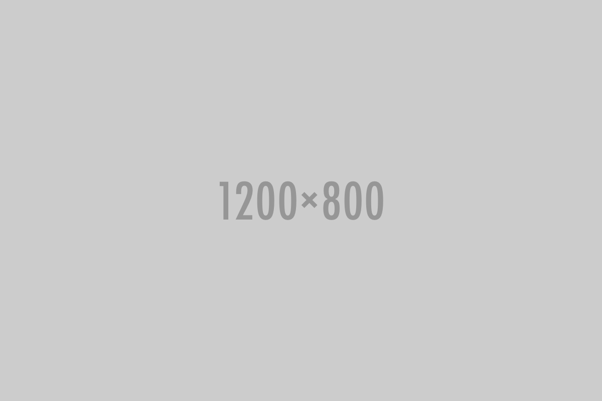 No photo available for Protocol